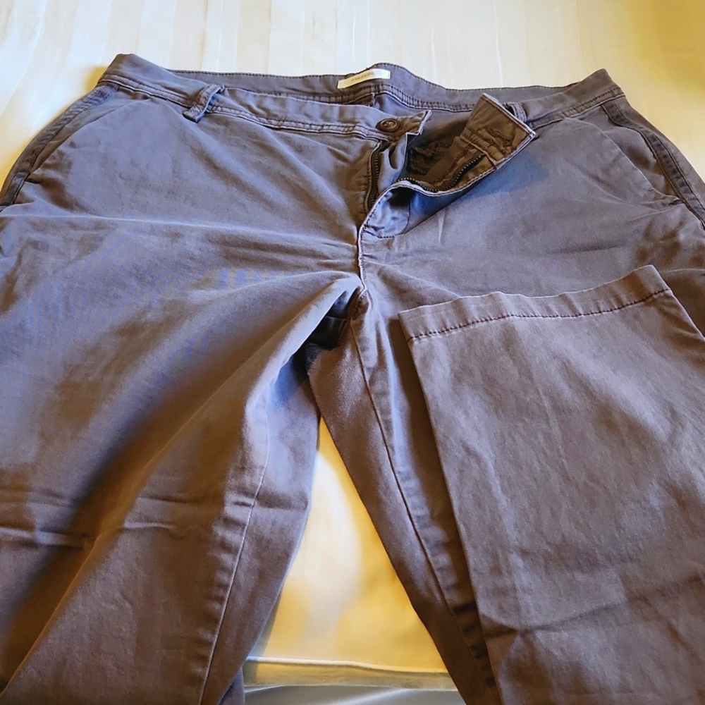 Purple ankle length pants